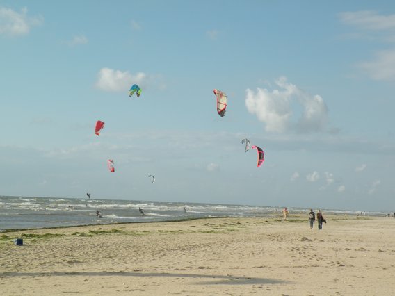 windsurf